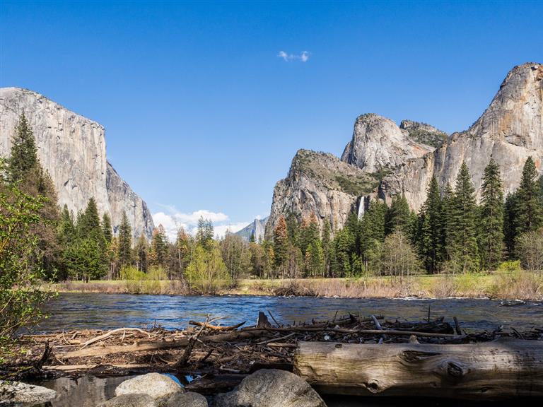 From Newcastle to Yosemite - Edvinas' Work America adventure