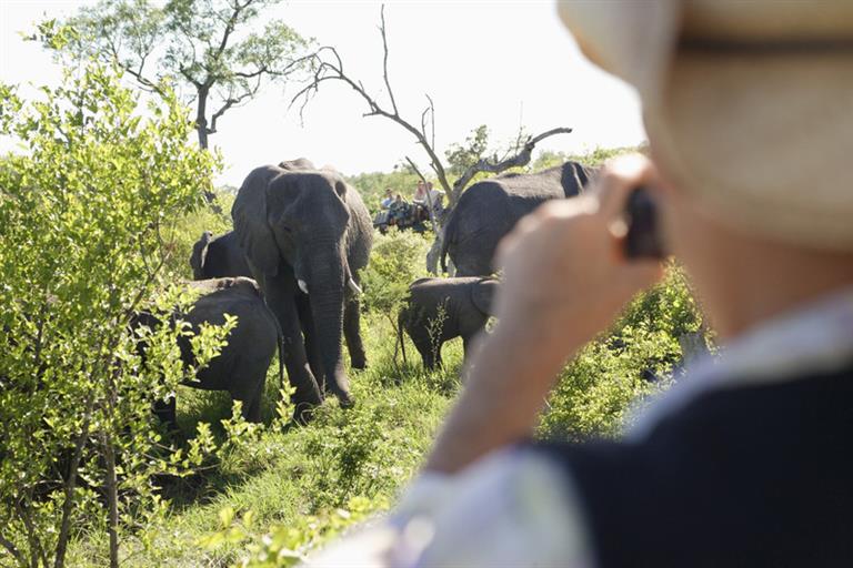 Top 5 facts on the Kruger National Park