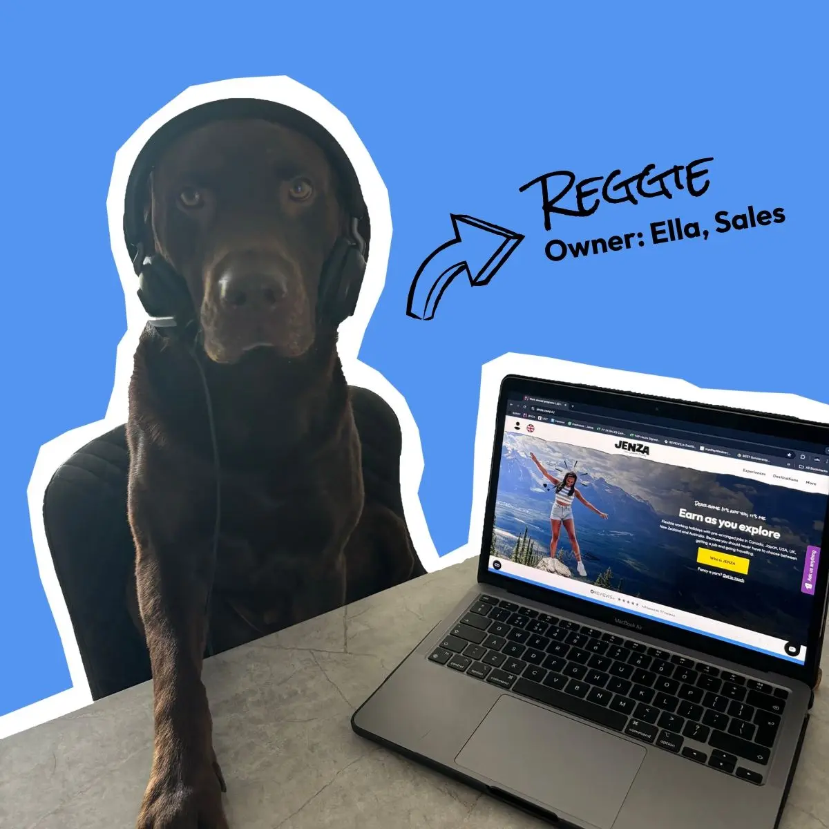 Cut out of a brown Labrador dog sitting at a table with a laptop and headphones on on a blue background. There is an arrow and some text that reads 'Reggie - Owner: Ella, Sales'.