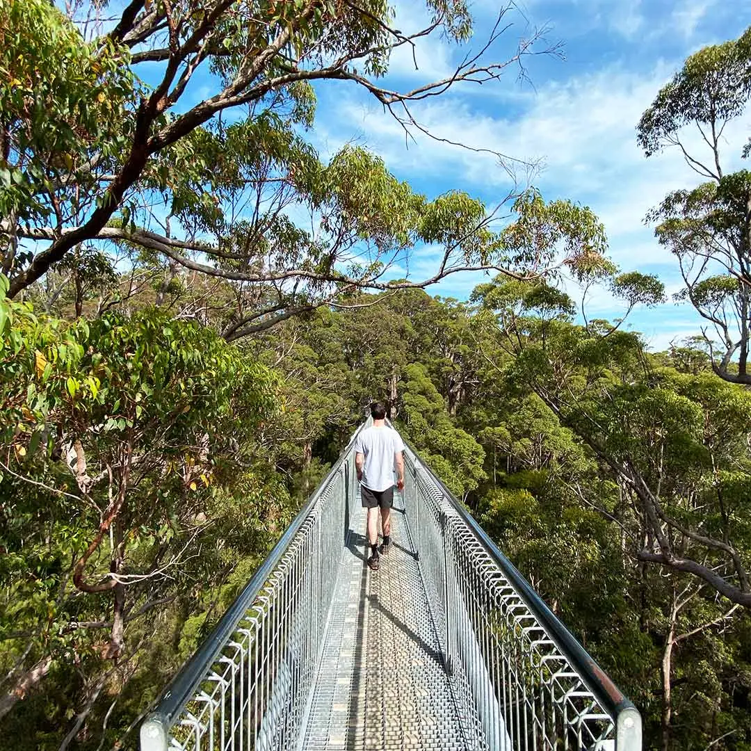 Guy walks across suspension bridge in forrest